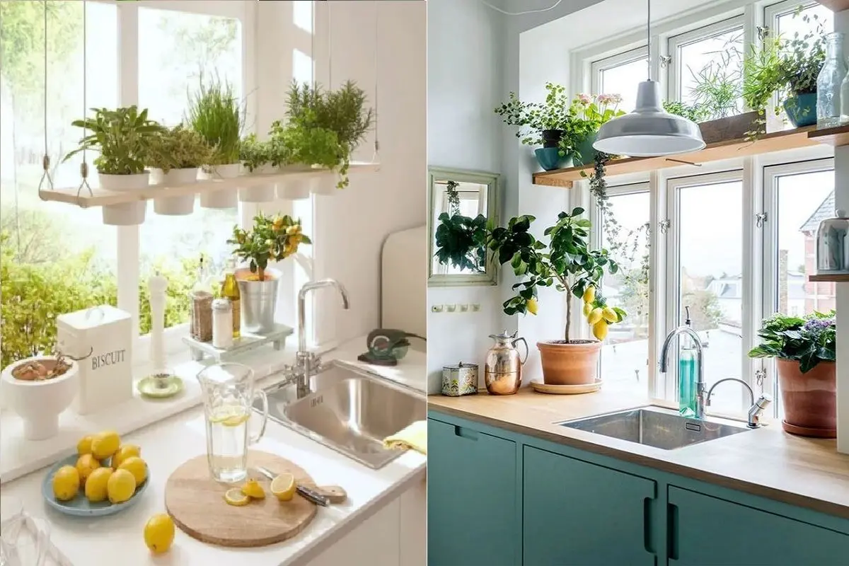 رو کابینت چی بذاریم