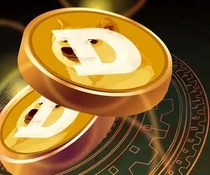  60٪ از کاربران دوج کوین موافق این میم کوین نیستند!