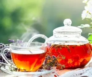 انواع چای و خواص شگفت انگیز آنها