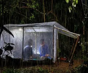 معماری خلاقانه؛ با 15بسته سلفون وسط جنگل خونه میسازه از حمله ببر و پلنگ در امان موند