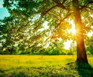 پیش‌بینی وضعیت هوای تهران در ۲۲ خرداد