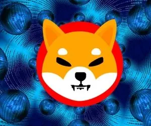 پپه چه بلایی سر شیبااینو میاره؟