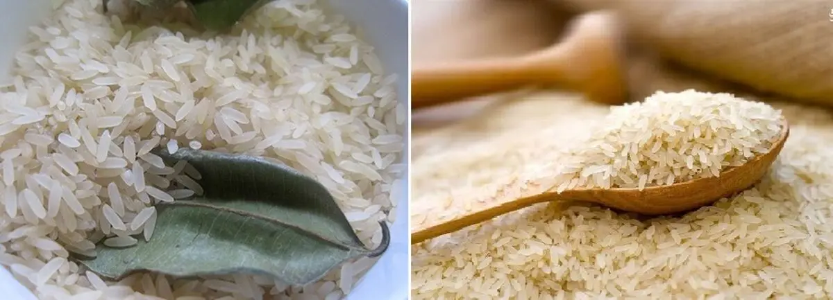 جلوگیری از شپشک زدن برنج