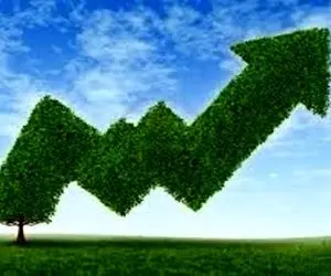 درخت بورس در میان آتش سبز می ماند؟ 