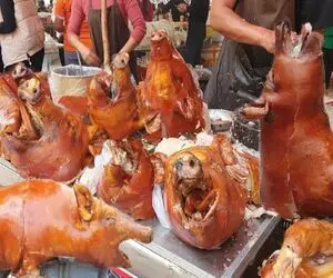 کباب سگ؛ سگ سفید نازنازی و به صلابه کشید جوشوند واسه درآمد میلیاردی به سیخ کشید