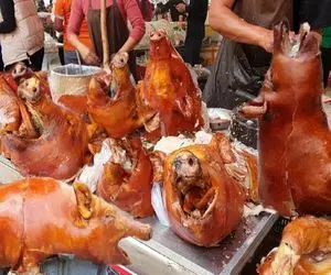 کباب سگ؛ سگ سفید نازنازی و به صلابه کشید جوشوند واسه درآمد میلیاردی به سیخ کشید