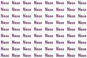 بازی فکری؛ باید تند و تیز باشی تو 3 ثانیه  کلمه پنهان Rose رو از بین Nose پیدا کنی
