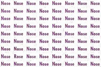 بازی فکری؛ باید تند و تیز باشی تو 3 ثانیه  کلمه پنهان Rose رو از بین Nose پیدا کنی