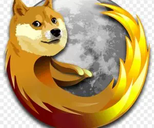 دوج کوین اول سالی خورد تو برجکش؟