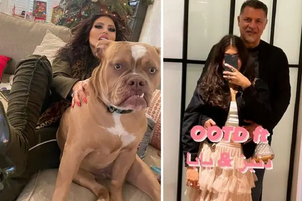 deniz daei shayanews