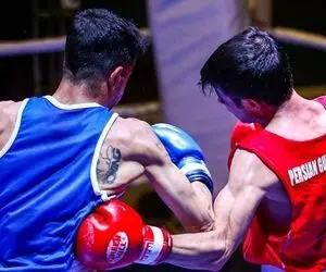 کارشناس بوکس: باید تا المپیک از تیم ملی حمایت کرد