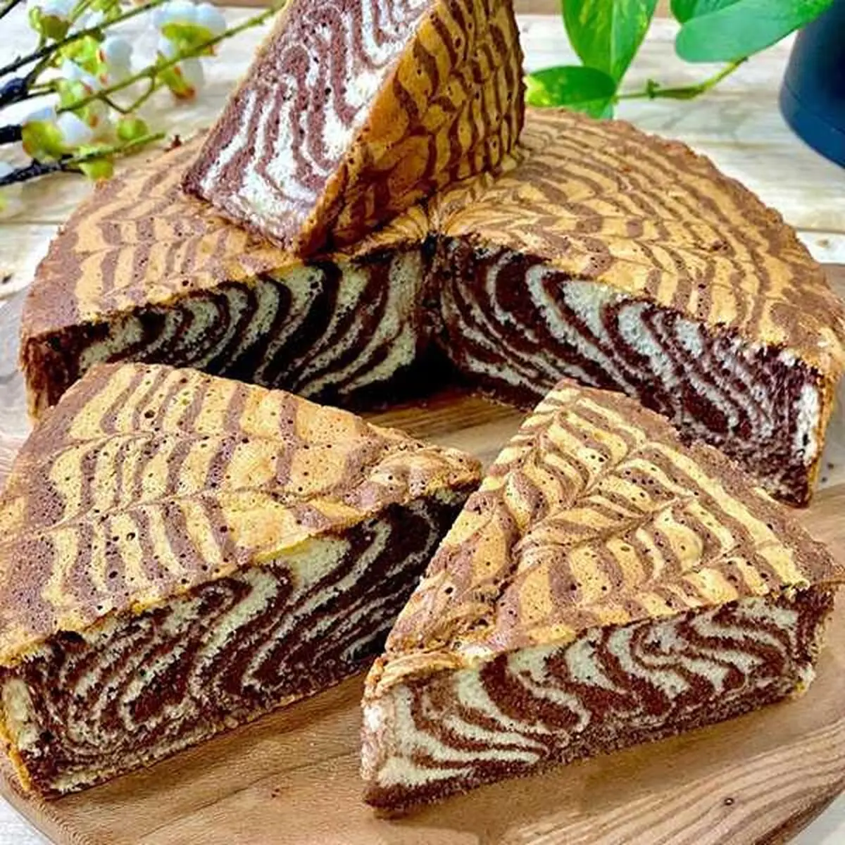 cake-sade1