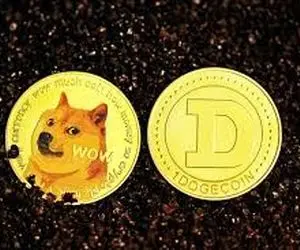 علت سرازیرشدن نهنگ های دوج کوین؟؟