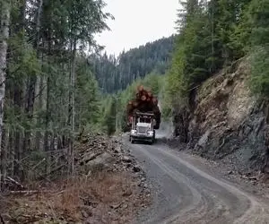 جابه جایی های جانکاه؛ ببینید این راننده کامیون ها چه رعب انگیز رانندگی میکنن!