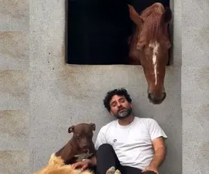 آواز احساسی؛ آقاهه تو بغل سگ و اسب ریلکس کرده و چه آهنگ سوزناکی میخونه