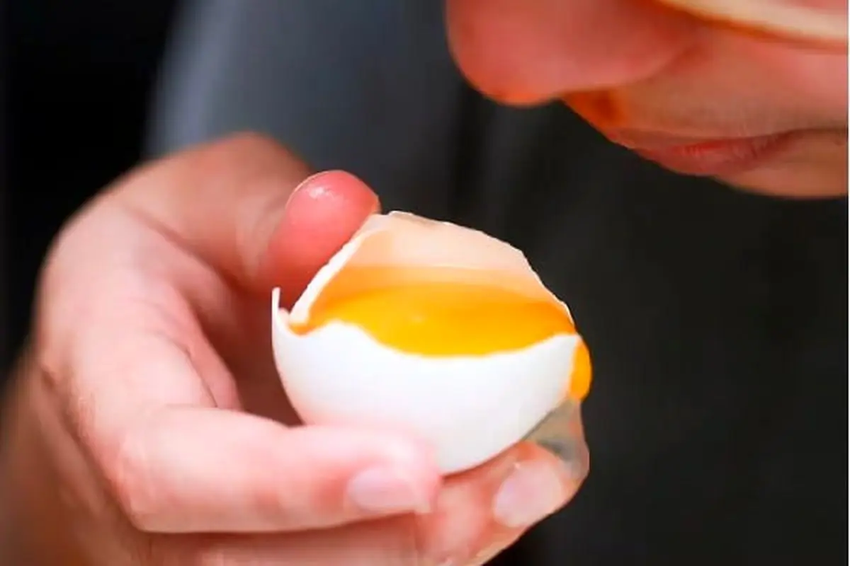 تشخیص-تخم-مرغ-فاسد