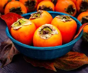 خرمالو پادشاه میوه‌های پاییزه، منبع غنی از آنتی‌اکسیدان‌ها که نمیذاره پیر بشی