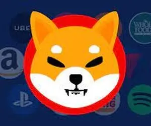 هرآنچه که دارندگان شیبا باید بدانند!!