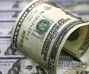 نرخ همه ارز های رسمی امروز یکشنبه 21 دی 99 ثابت ماند