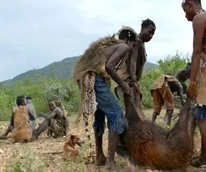 کباب گراز؛ بچه بربرهای برهنه با تیرکمون گراز وحشیو سر میبرن شام خام میخورن