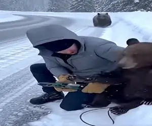 معماری طبیعت؛ مرد داشت به بچه خرس کمک میکرد که مادرش رسید بلای سگ سر بنده خدا آوورد