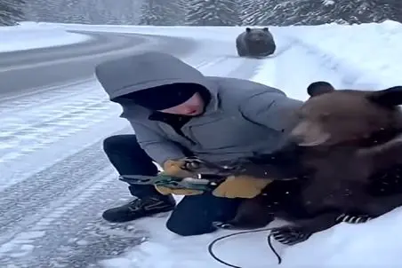 معماری طبیعت؛ مرد داشت به بچه خرس کمک میکرد که مادرش رسید بلای سگ سر بنده خدا آوورد