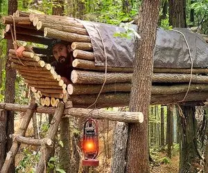 معماری خلاقانه؛ وسط جنگل با شاخه درخت یه خونه لوله شکل ساخت عقاب کورش نکنه