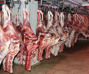 گوشت قرمز گران‌تر می‌شود