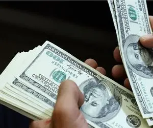 قیمت دلار توافقی امروز یکشنبه 11 آبان 1404 / حواله دلار یک پله بالاتر رفت