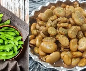 طرز تهیه باقالی پخته به روش بازاری + همه فوت و فن های پخت یه باقالی خوشمزه