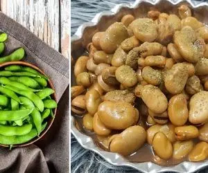 طرز تهیه باقالی پخته به روش بازاری + همه فوت و فن های پخت یه باقالی خوشمزه