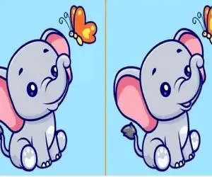 بازی فکری؛  اگه بتونی 3 تفاوت رو تو تصویر پیدا کنی مغزت در حد جوون 18 سالش