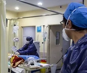 کرونا جان 20 نفر دیگر را هم گرفت