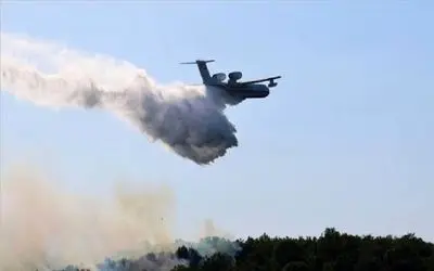 علت آش سوزی جنگل ها چه بود؟