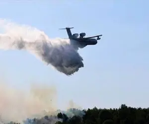 علت آش سوزی جنگل ها چه بود؟