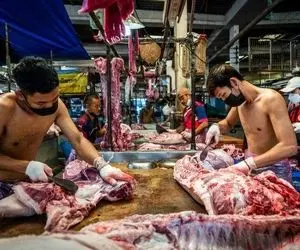 سلاخی تمساح؛ 1000 کروکودیل رو پوست میکنن و رانش سوخاری میکنن و می کشن به دندون