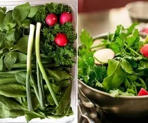 روش تازه نگه داشتن سبزی خوردن / لازم به کار شاقی نیس اینجوری یه هفته تر و تازه اس