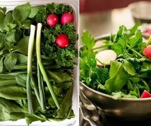 روش تازه نگه داشتن سبزی خوردن / لازم به کار شاقی نیس اینجوری یه هفته تر و تازه اس