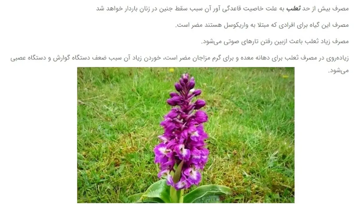 orcid-vaghtesobh