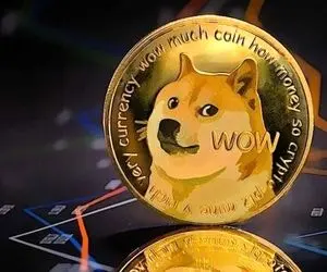 خوش شانسی خارق العاده دوج کوین!