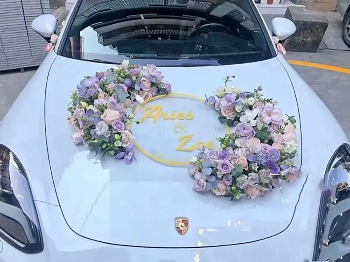 موش2