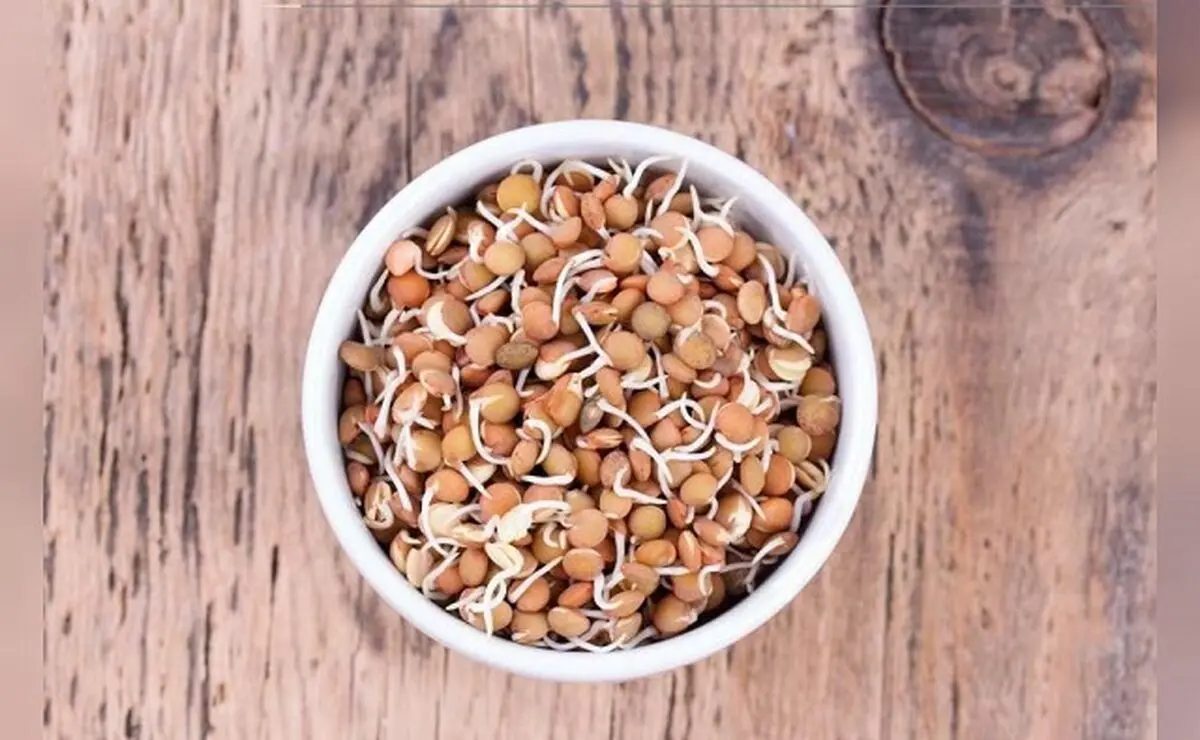 سبزه-عدس-۱