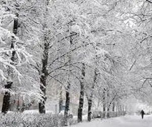 پیش بینی هواشناسی شنبه 2 اسفند؛ برف و باران در بیشتر مناطق