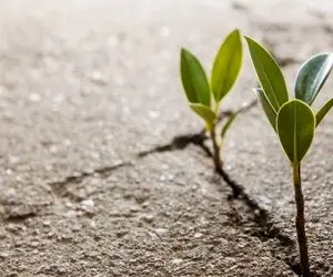 امید به زندگی در ایران واقعاً افزایش یافته؟