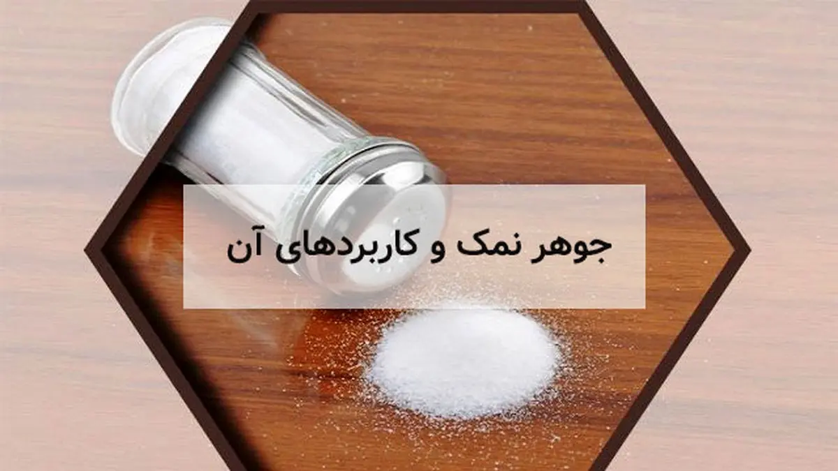 C320X260_028494503137