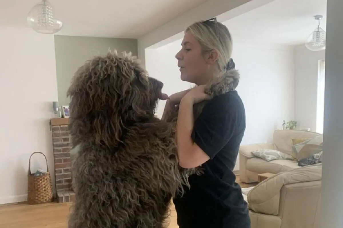1_PAY-DOG-GETS-MISTAKEN-FOR-CHEWBACCAjp