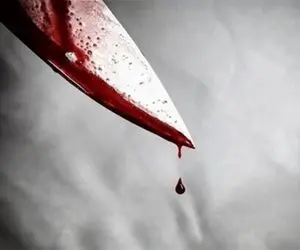 دختر بچه ۱۰ ساله چگونه همبازی‌اش را به قتل رساند؟