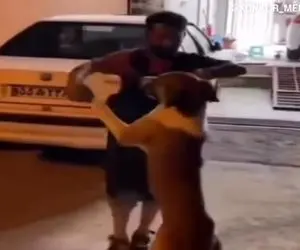 آواز شاد؛ مرد تعمیرکار محض خنده با سگ تانگو رقصید ولی سگه خیلی جدی گرفته قشنگ تو نقشه
