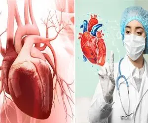 معرفی متخصص ترین دکترهای آریتمی قلب کرج / همراه با ذکر علائم خطرناک این بیماری