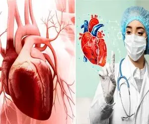 معرفی متخصص ترین دکترهای آریتمی قلب کرج / همراه با ذکر علائم خطرناک این بیماری